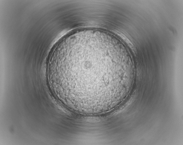 X0000116040933200912041809