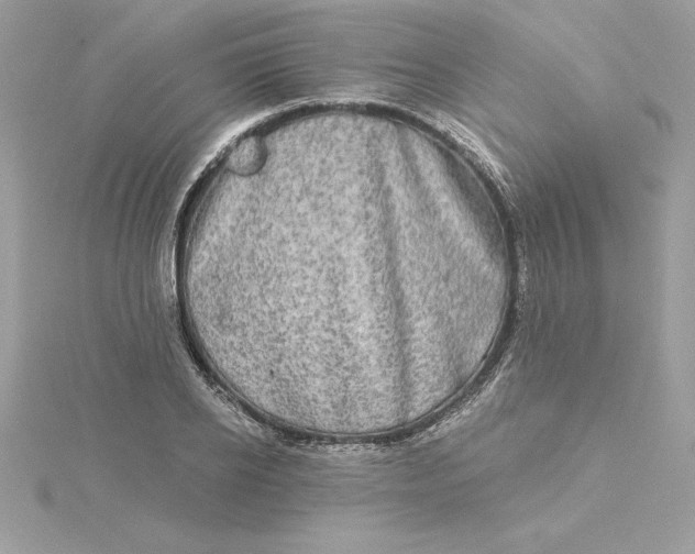 X0000116040934200912041809