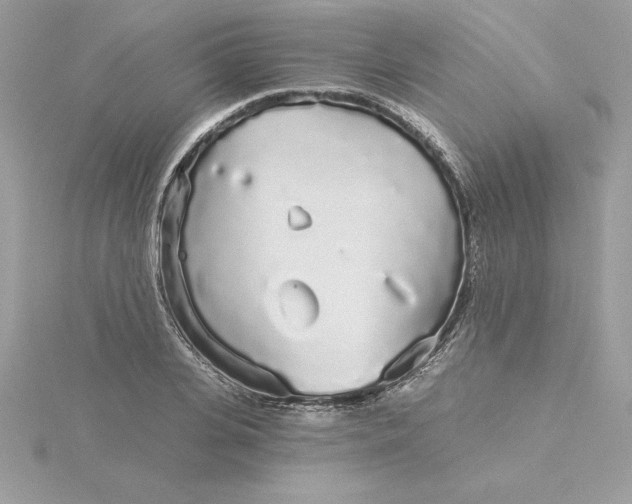 X0000116040935200912041809