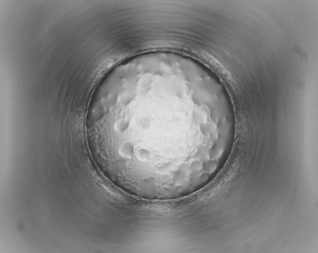 X0000116040937200912041809