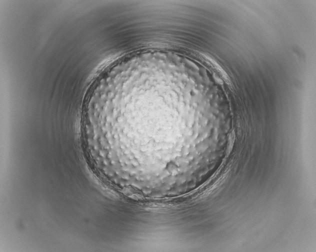 X0000116040938200912041809