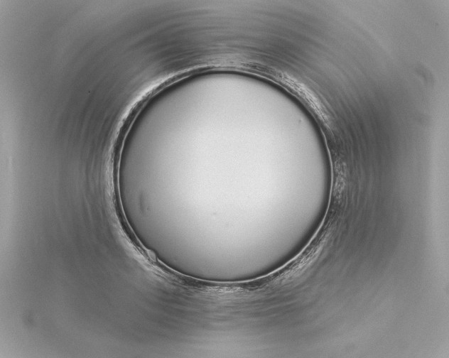 X0000116040939200912041809