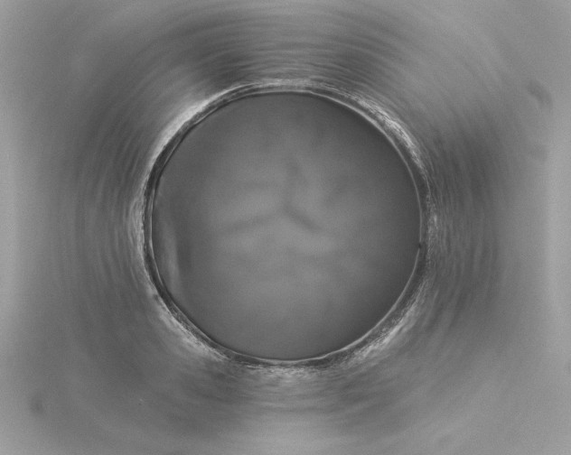 X0000116040941200912041809