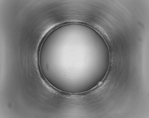 X0000116040942200912041809