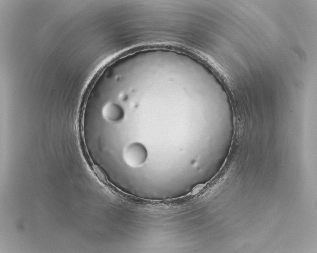 X0000116040943200912041809