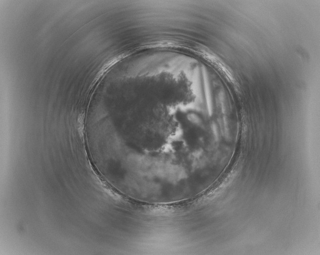 X0000116040945200912041809