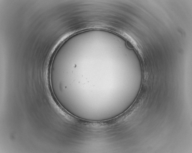 X0000116040947200912041809