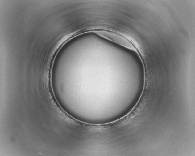 X0000116040949200912041809