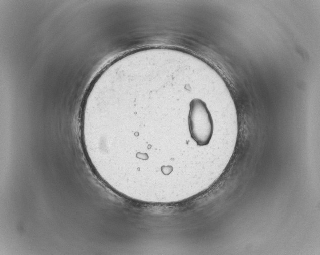 X0000116040950200912041809