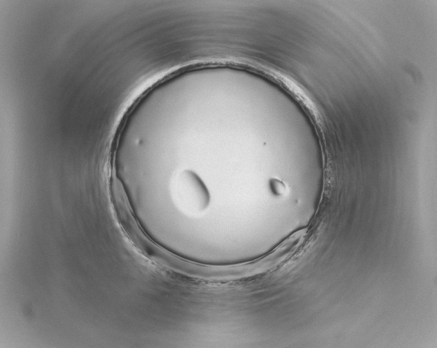 X0000116040951200912041809