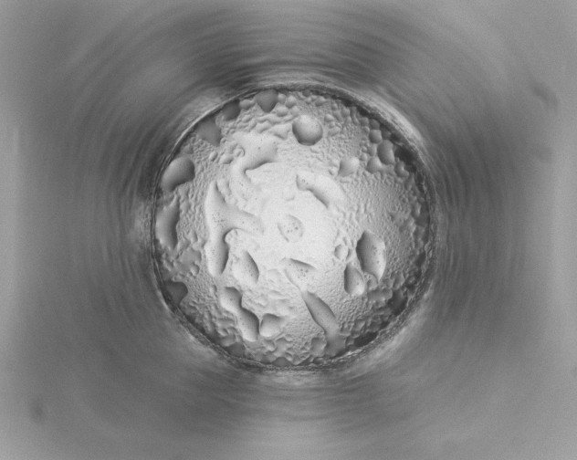 X0000116040953200912041809