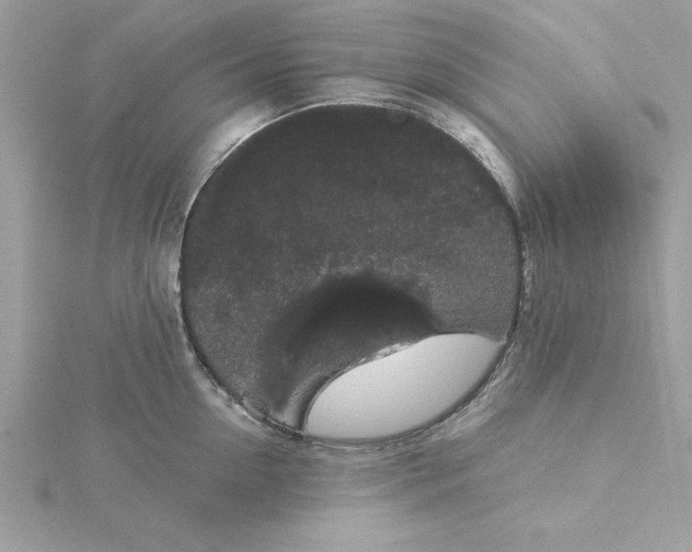 X0000116040954200912041809