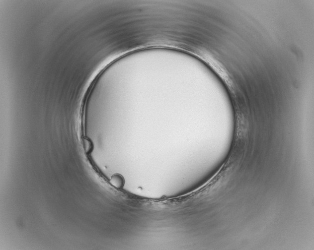 X0000116040955200912041809