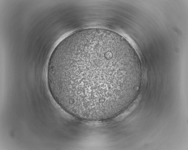 X0000116040957200912041809