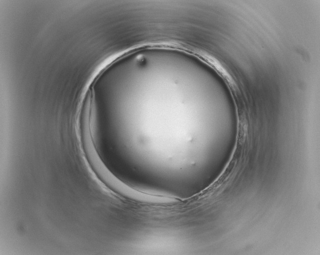 X0000116040959200912041809