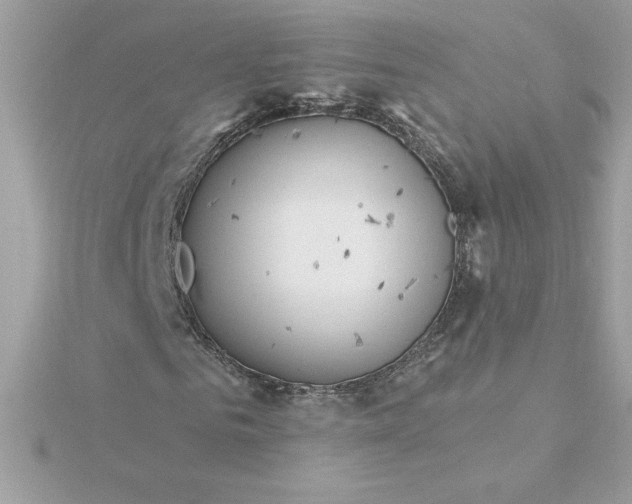 X0000116040961200912041808