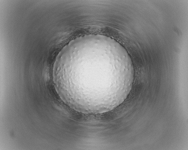 X0000116040962200912041808