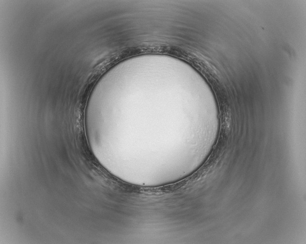 X0000116040964200912041808