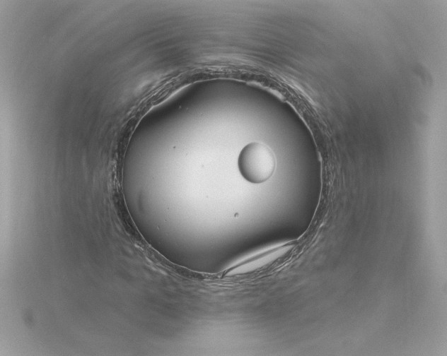 X0000116040965200912041808