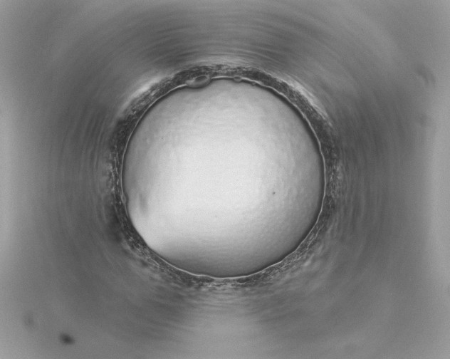 X0000116040967200912041808