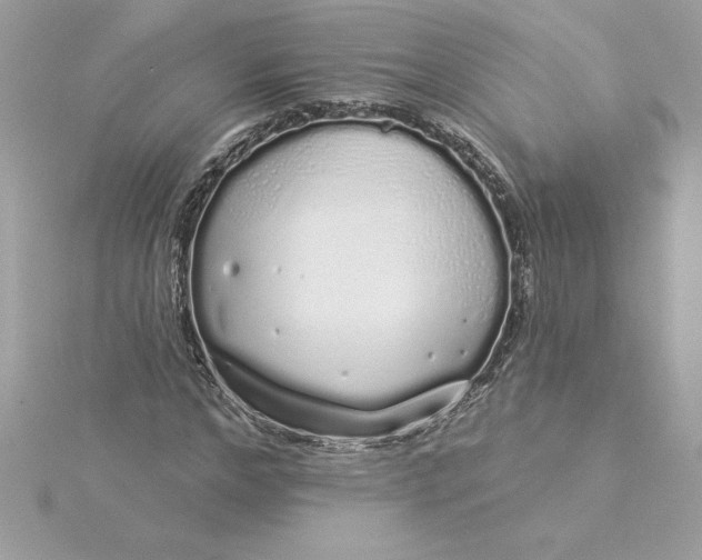 X0000116040968200912041808