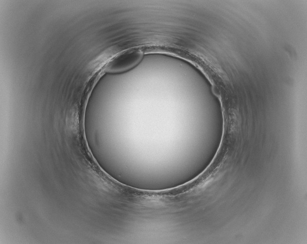 X0000116040969200912041808