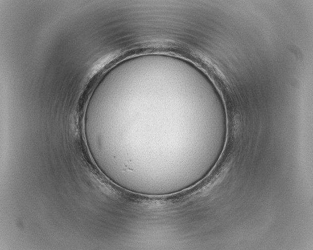 X0000116040970200912041808