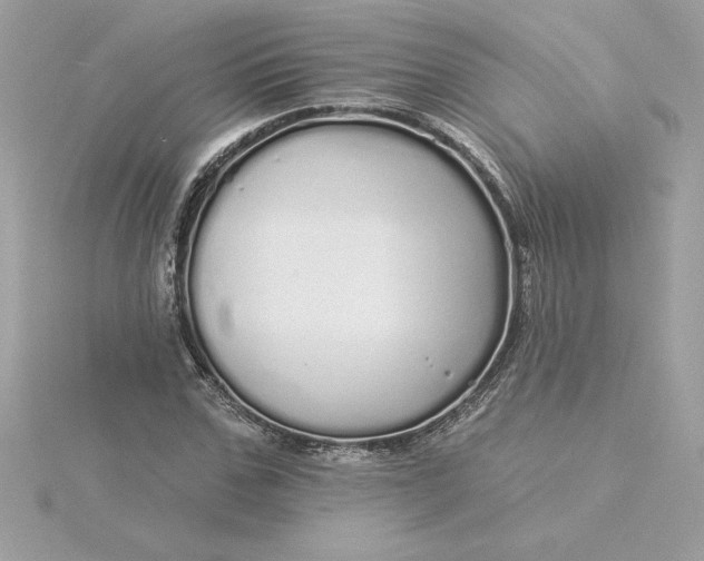 X0000116040971200912041808