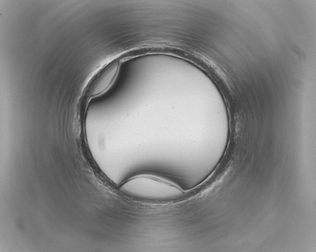 X0000116040973200912041808