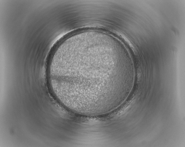 X0000116040975200912041808