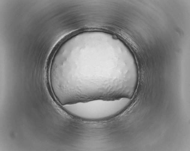 X0000116040976200912041808