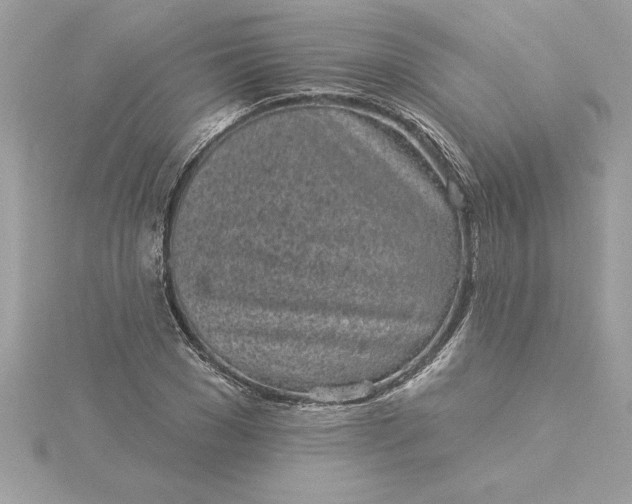 X0000116040977200912041808