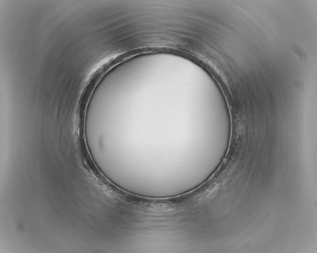 X0000116040979200912041808