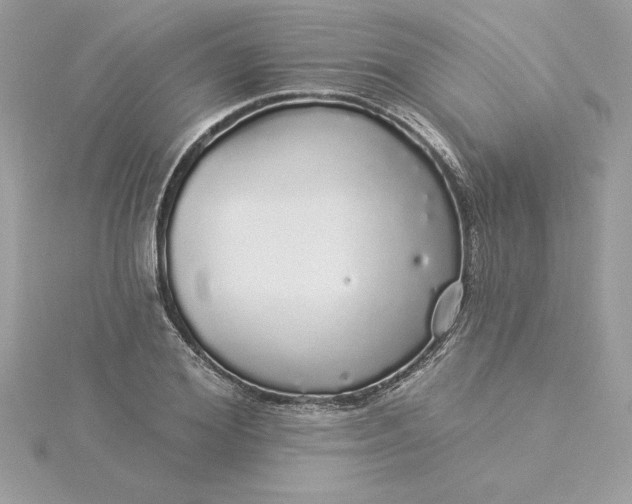 X0000116040980200912041808