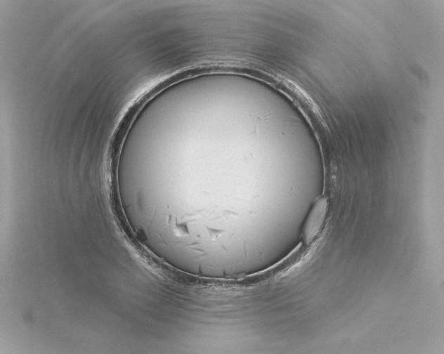 X0000116040981200912041808