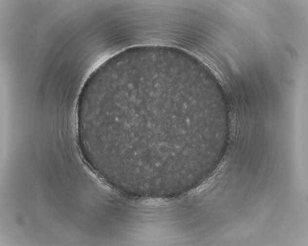 X0000116040982200912041808