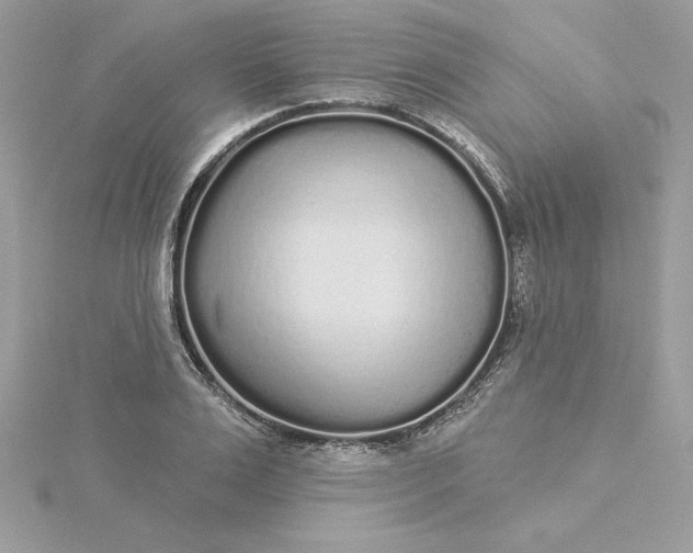 X0000116040983200912041808