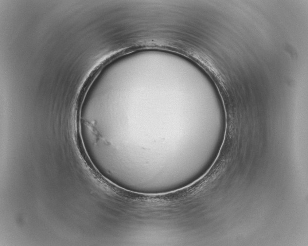 X0000116040984200912041808