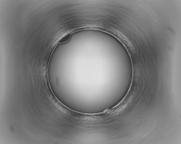 X0000116040985200912041808