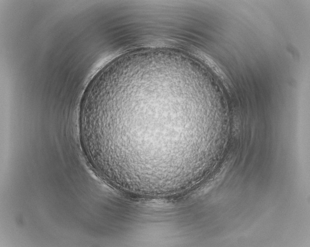 X0000116040986200912041808