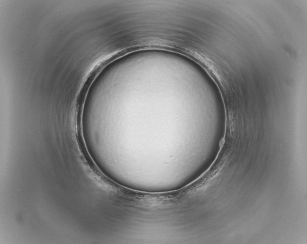 X0000116040987200912041808