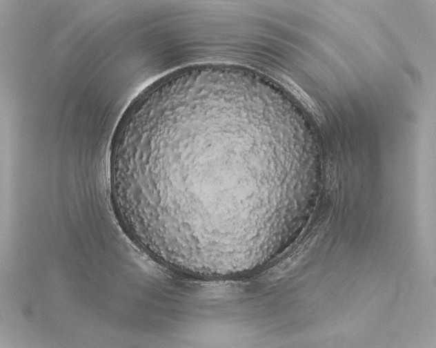 X0000116040988200912041808