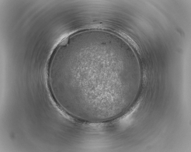 X0000116040989200912041808