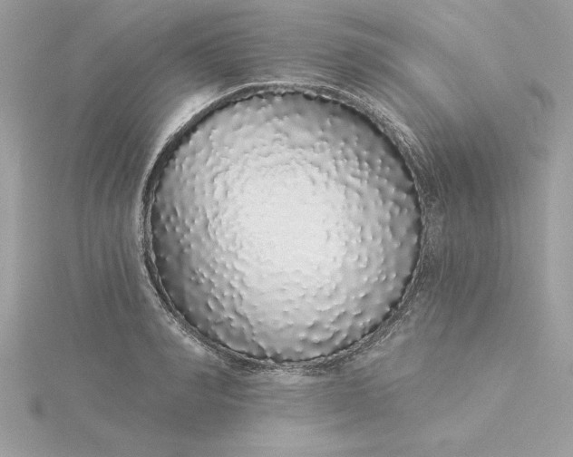 X0000116040990200912041808