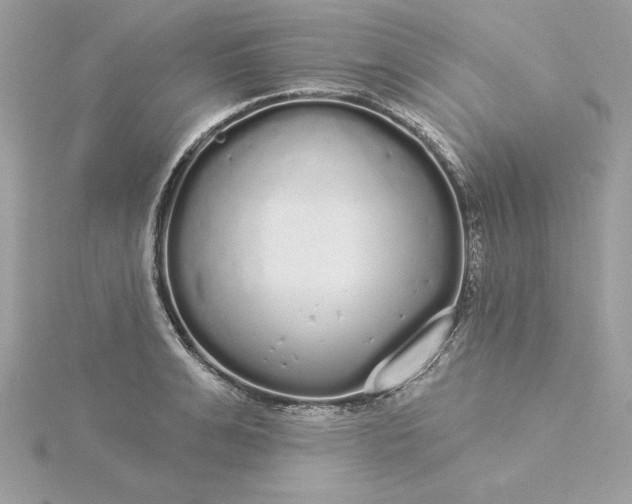 X0000116040991200912041808