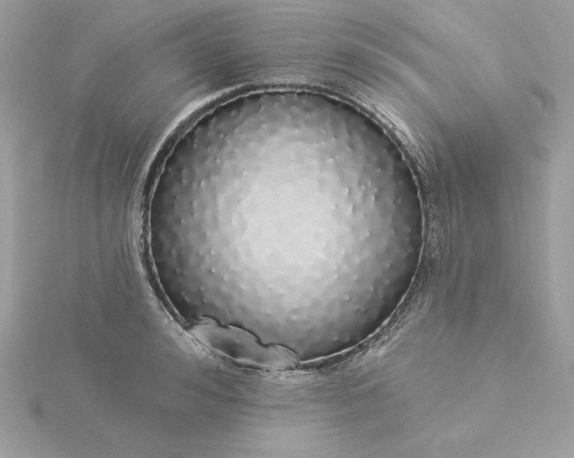 X0000116040992200912041808