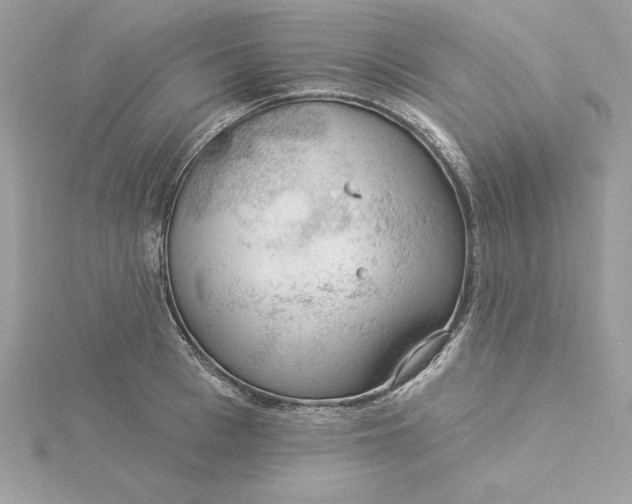 X0000116040993200912041808