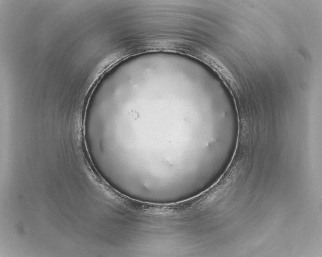 X0000116040994200912041808