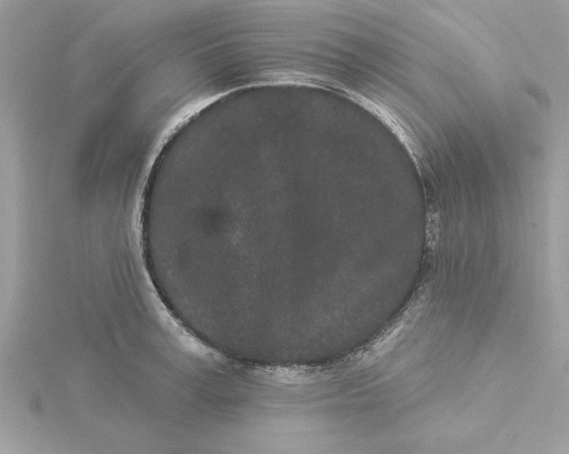 X0000116040995200912041808