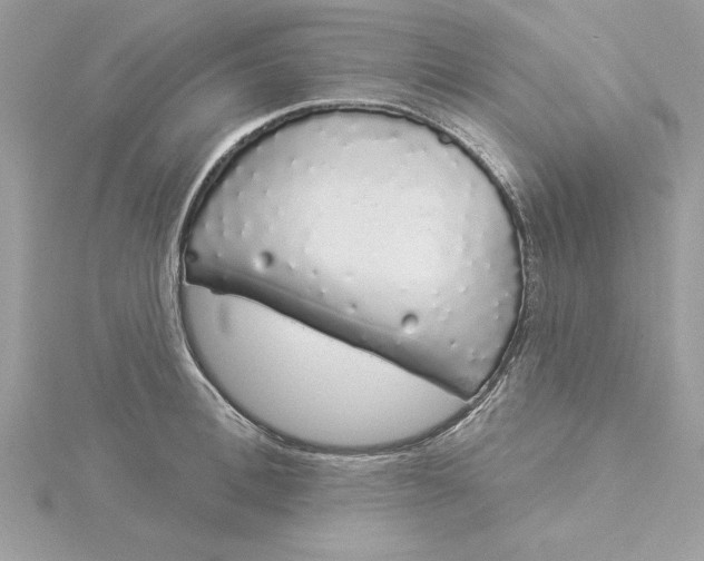 X0000116040996200912041808